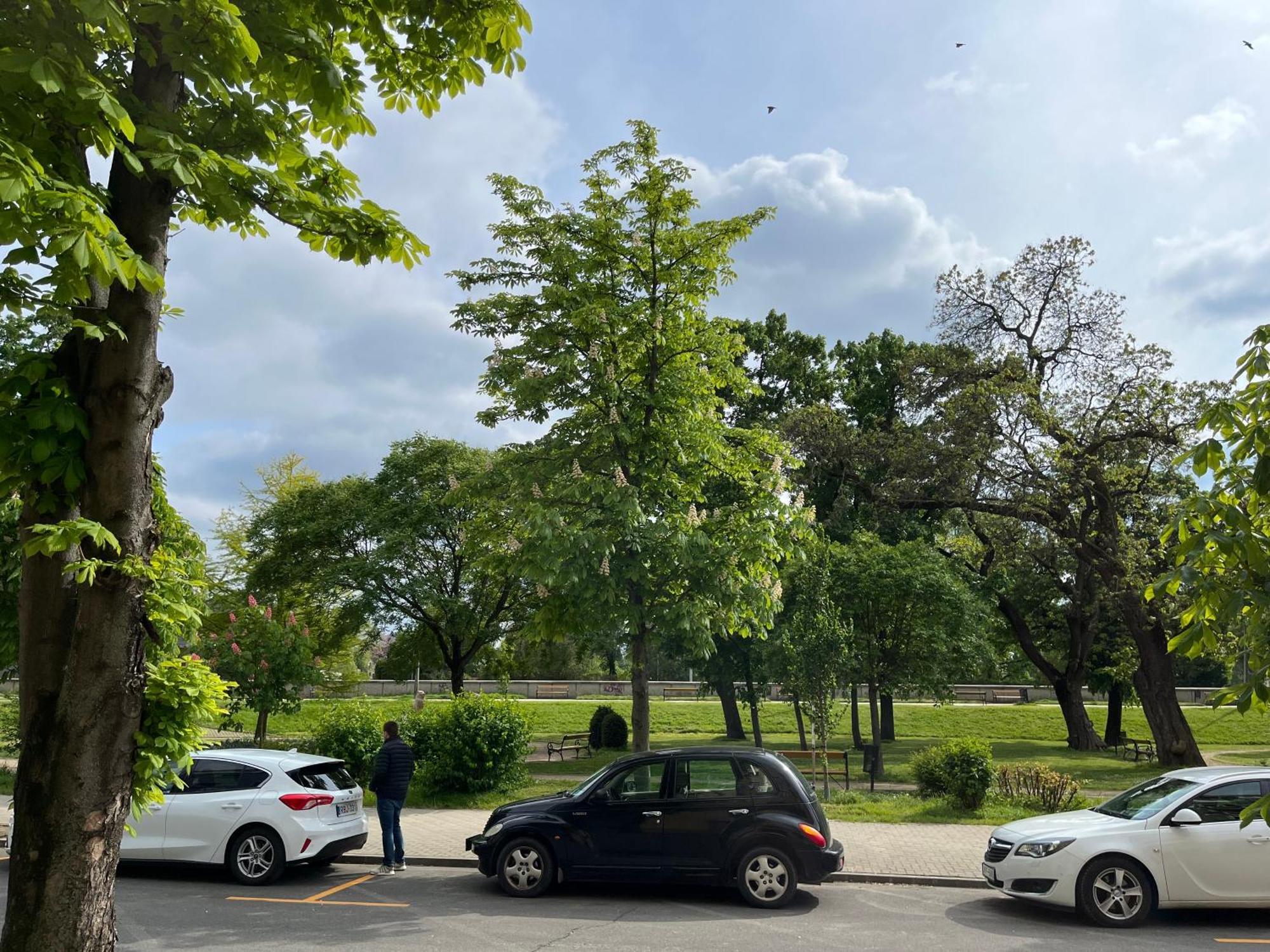 Panorama Lägenhet Győr Exteriör bild